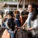 Parque de Campismo Cosy Avec Terrasse Et Cheminee, 6 Couchages - Api-1-52-1737 *